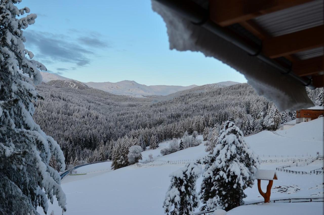 Ferienhaus Seetaler Alpen Obdach Eksteriør billede