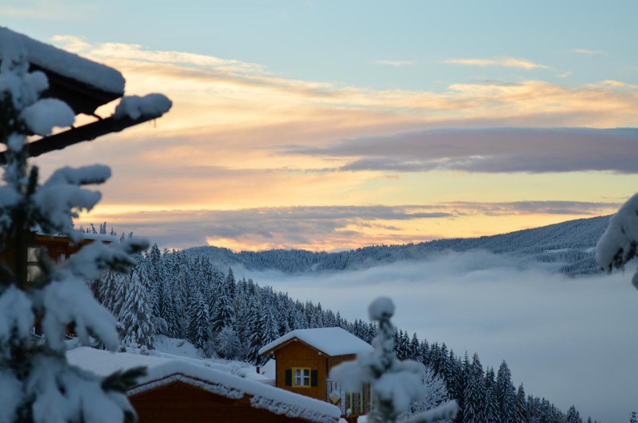 Ferienhaus Seetaler Alpen Obdach Eksteriør billede